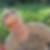 Profilbild von Kay Peters
