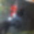 Profilbild von Frank Matthey