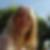Profilbild von Michaela Awater
