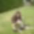 Profilbild von Beatrix Ley