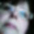 Profilbild von Gerda Schlipp