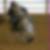Profilbild von Frank Lux