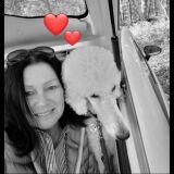 Profilfoto von Andrea Holte