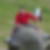 Profilbild von Michael Hettich