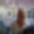 Profilbild von Andrea Wente