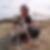 Profilbild von Annegret Holz