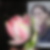 Profilbild von Anke Andes
