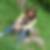 Profilbild von Heide Pickert