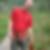 Profilbild von Stefan Hof