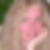 Profilbild von Petra Mohr