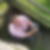 Profilbild von Roland Binder
