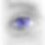Profilbild von Peggy Schickendanz