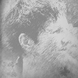 Profilfoto Elke Strauß Profilfoto von Elke Strauß