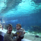 Profilfoto von Sylvia Langlotz