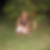 Profilbild von Martina Bolz