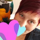 Profilfoto Katharina Balthasar Profilfoto von Katharina Balthasar