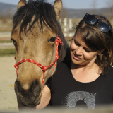 Profilfoto von Aniko Halmai