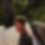 Profilbild von Joerg Rogatty