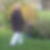Profilbild von Jacqueline Witthus