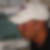 Profilbild von Marc Hassler