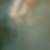 Profilbild von Joerg Loucky