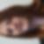Profilbild von Yvonne Doncsecz