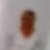 Profilbild von Evelyn Gould