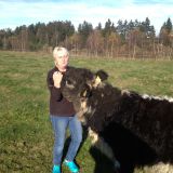 Profilfoto von Annegret Fleck