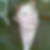 Profilbild von Carmen Beginn