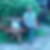 Profilbild von Andre´ Hasche