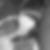 Profilbild von Nancy Schwerin