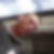 Profilbild von Daniel Nebert
