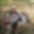 Profilbild von Frank Bieber