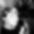 Profilbild von Jessica Junger