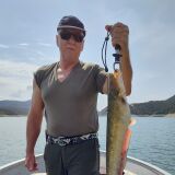 Profilfoto von Dirk Hoenicke