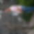 Profilbild von Sven Grutters