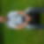Profilbild von Ingo Schilling