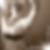 Profilbild von Denise Presper