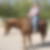Profilbild von Mareike Krings