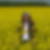 Profilbild von Petra Trademann