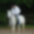 Profilbild von Marco Busch