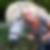 Profilbild von Dorit Hobus