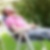 Profilbild von Frank Straubel