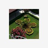 Profilfoto von Micaela Chmiela