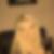 Profilbild von Yvonne Josch