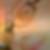 Profilbild von Frances Dockhorn