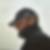Profilbild von Ron Schirmer
