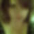 Profilbild von Bilitis Tripps