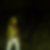 Profilbild von Kunigunda Keller