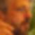 Profilbild von Hartmut Ohlendorf